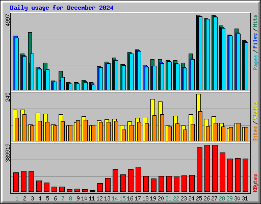 Daily usage for December 2024