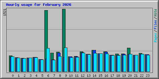 Hourly usage for February 2026